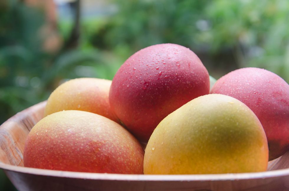 close up of mangoes with waterdrops