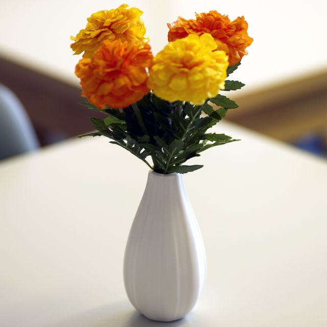 20 beautiful nontoxic houseplants safe for cats close up of marigolds in vase on table
