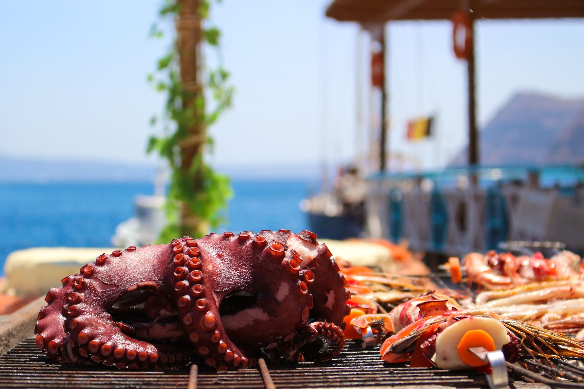 https://hips.hearstapps.com/hmg-prod/images/close-up-of-octopus-on-barbeque-grill-royalty-free-image-995458102-1565681906.jpg?resize=2048:*