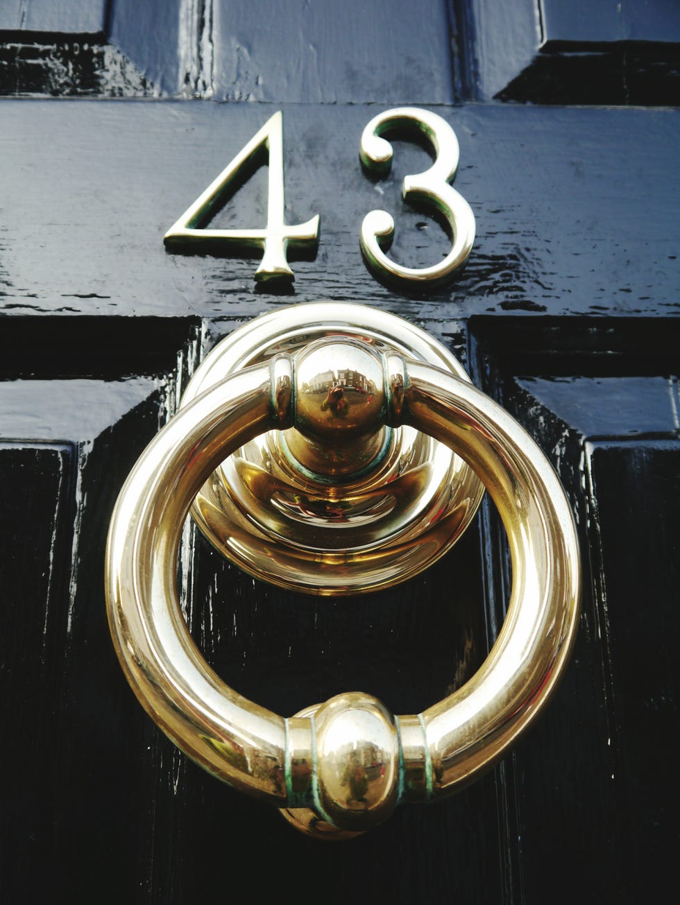 Old-Fashioned Door Knocker
