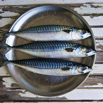 close up of plate of mackerels