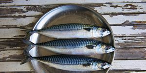 close up of plate of mackerels