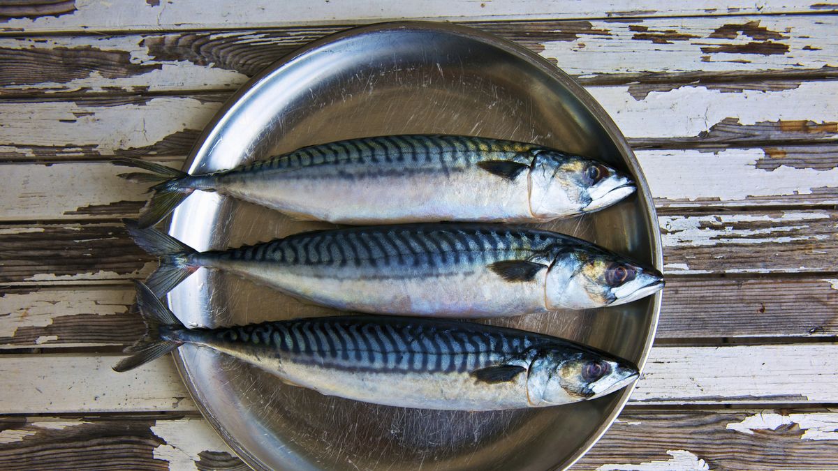 preview for Perché il pesce non può mancare sulla tua tavola