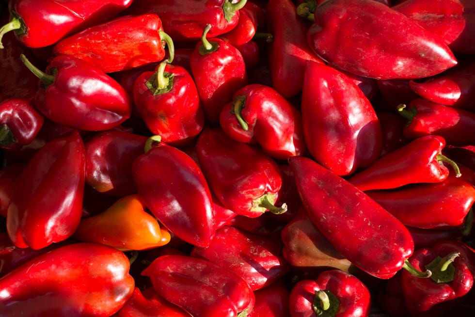 Collagen-Rich Foods