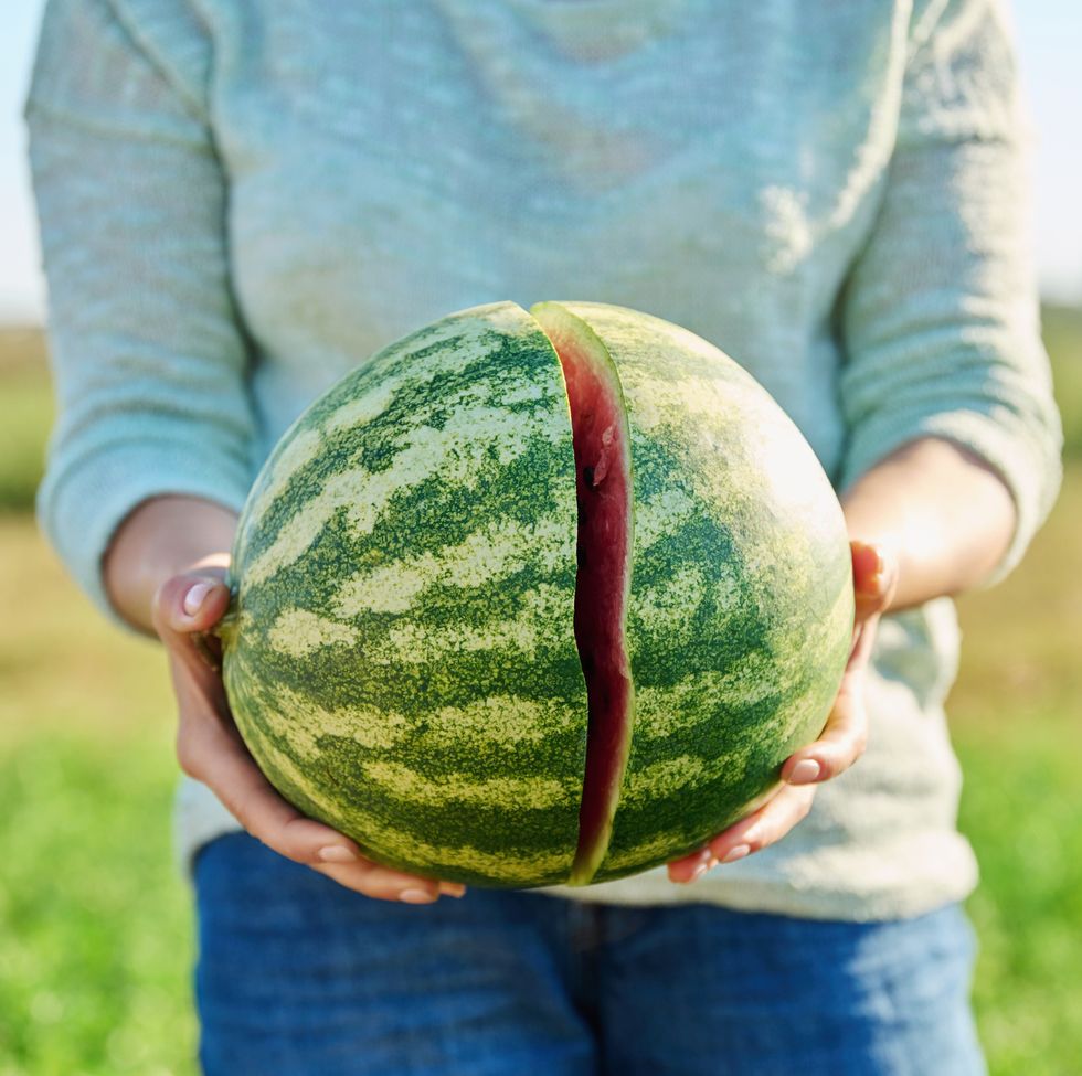 close up of ripe cracked watermelon in hands of woman, outdoor