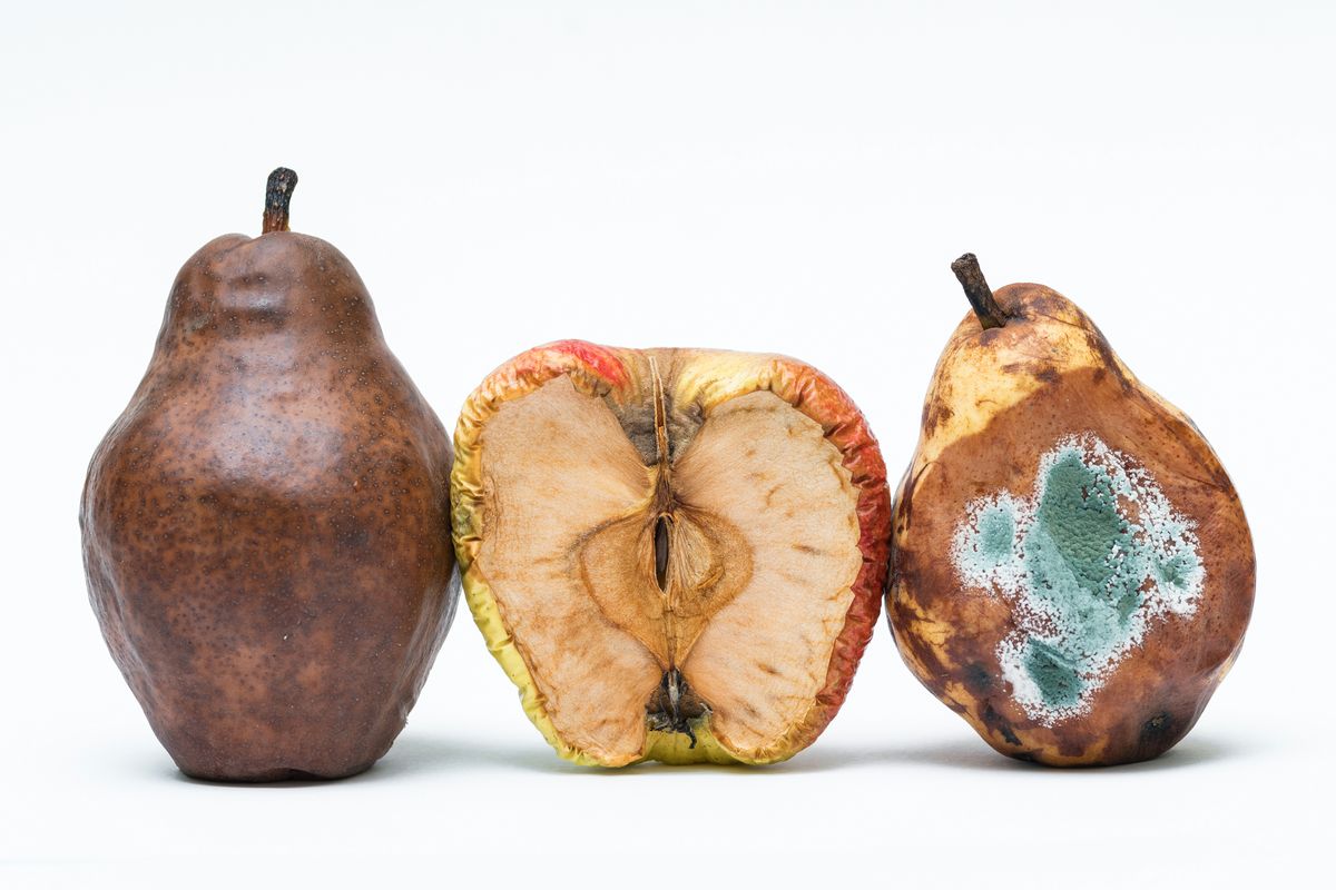 close up of rotten fruits against white background