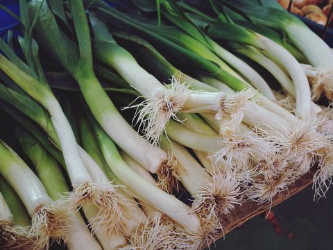 Close-Up Of Spring Onions