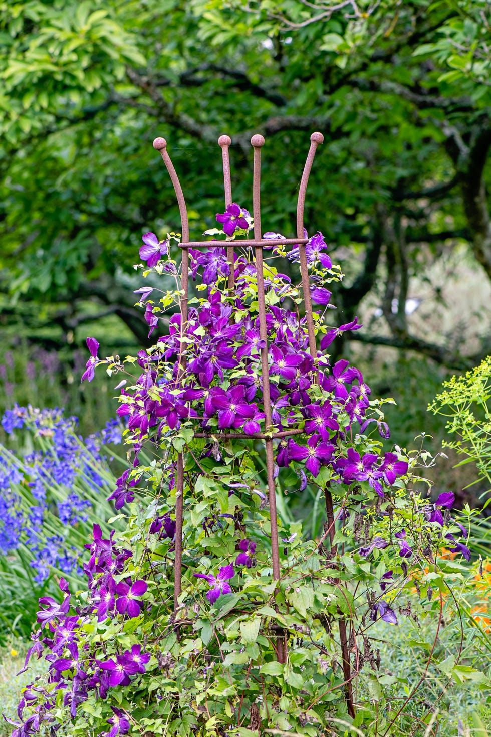 Want to Frolic in the Bridgerton Gardens? Us Too