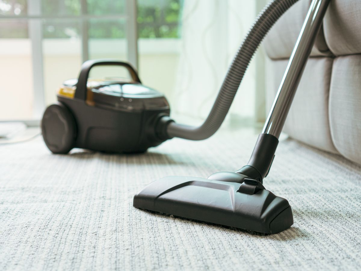 The 9 Best Cheap Vacuum Cleaners of 2024, Tested and Reviewed