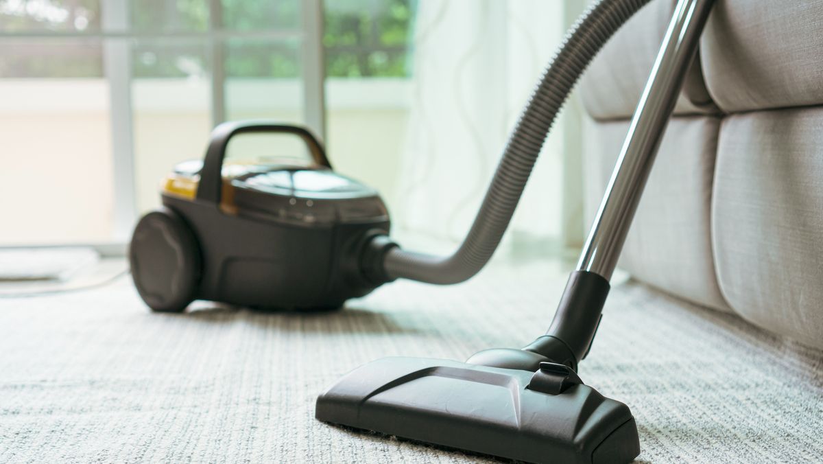 The 9 Best Car Vacuums of 2024, Tested & Reviewed