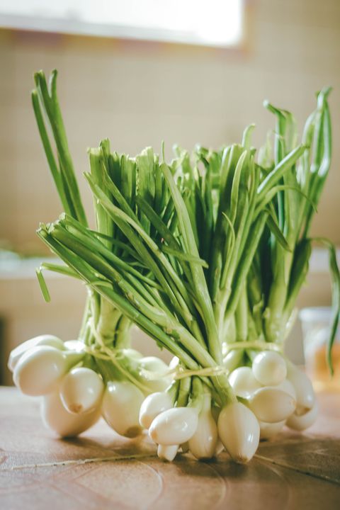 close up of vegetables on table