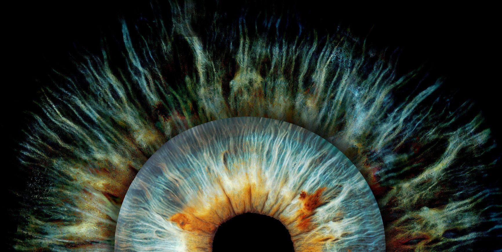 close-up-oh-human-iris-royalty-free-image-1746209130.pjpeg
