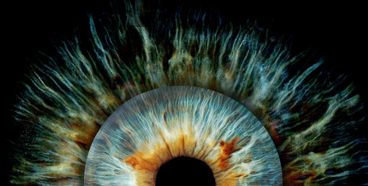 Scientists Found the Body’s Switch for Regrowing Crucial Vision Cells. It Could Restore Sight for Millions of People.