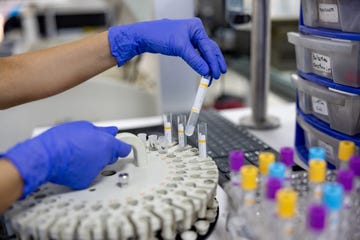 a scientist looks at vials of samples