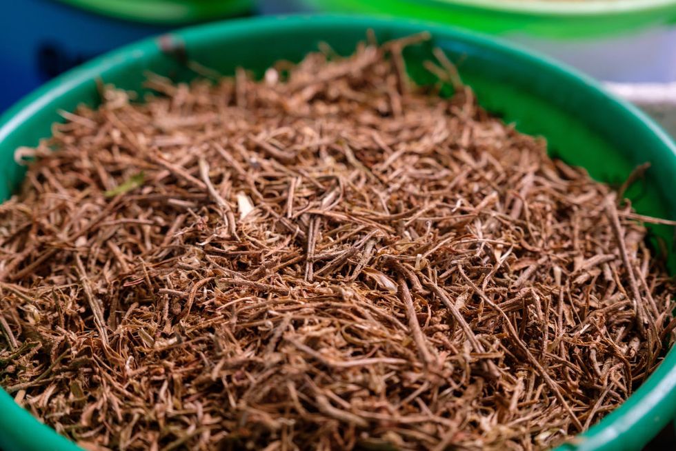close up on dried ashwaganda roots used for herbal tea, bunjako island, mpigi  district, uganda