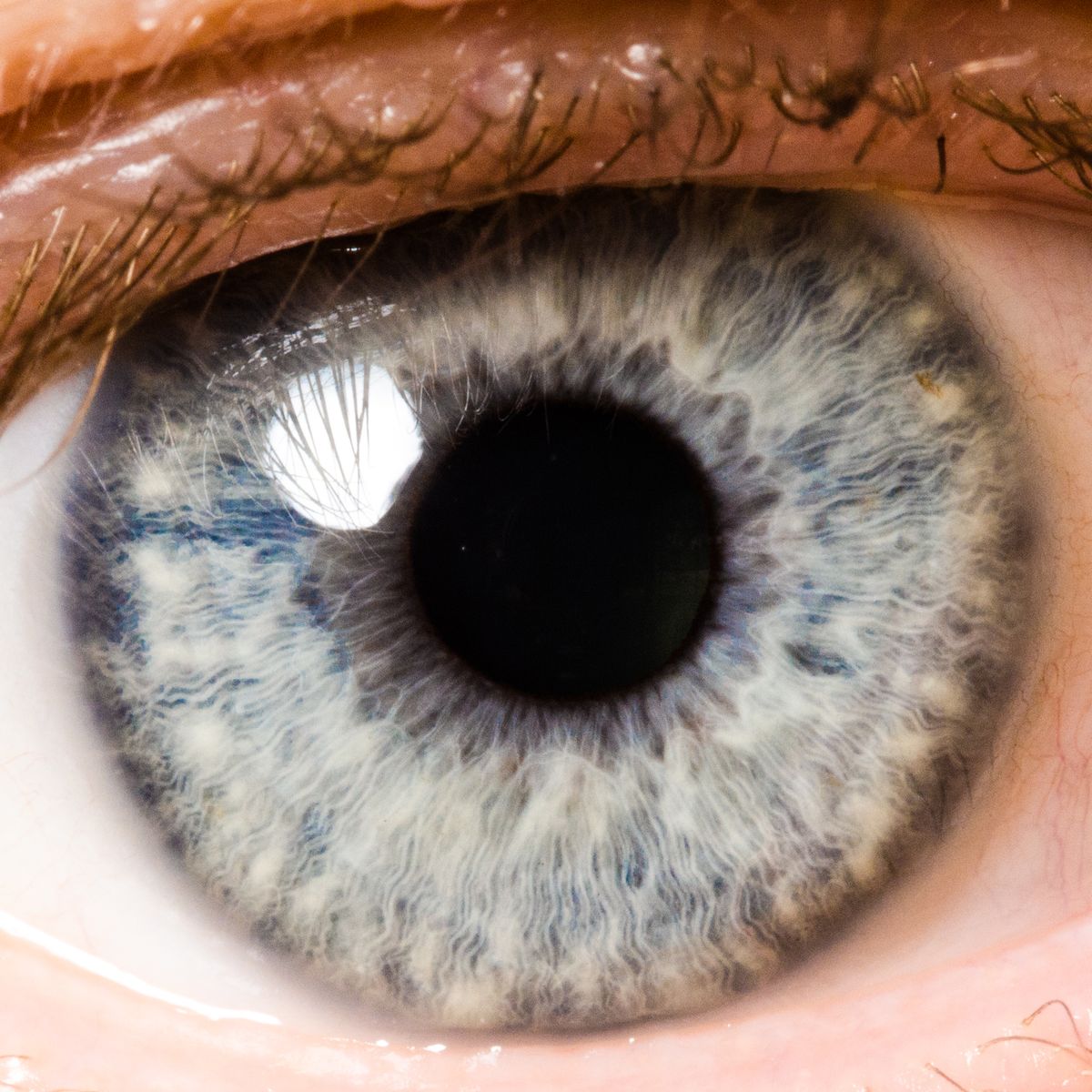 Close-Up Portrait Of Human Eye