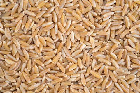 close view of khorasan wheat