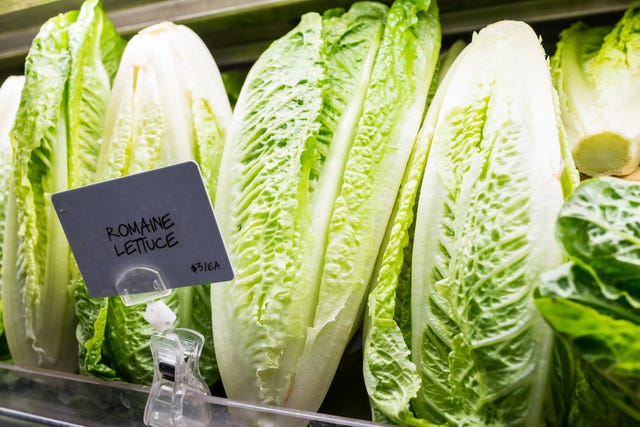 closeup of fresh raw, expensive green romaine lettuce heads in supermarket grocery market store display with sign, price per each