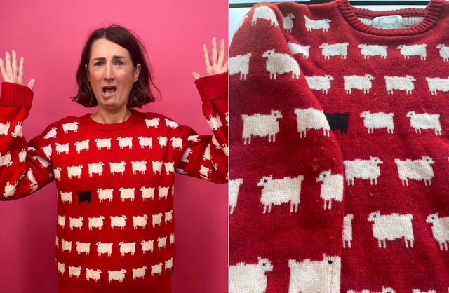 clothes moths destroyed jumper