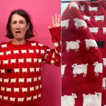 Clothes moths destroyed jumper clothes moths destroyed jumper