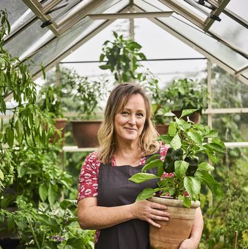 sally coulthard holding a potted chilli pepper plant