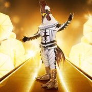 fox's the masked singer gallery