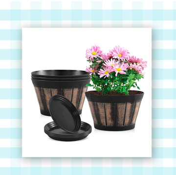 flower pots and wildflower seeds