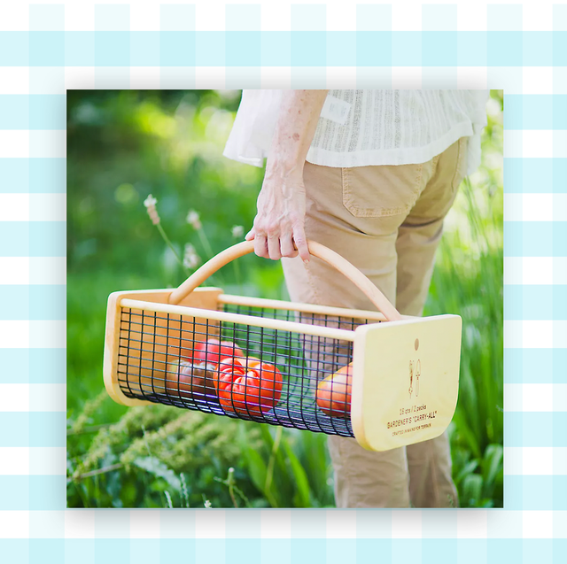 Best Gifts for Gardeners: Perfect Picks for Green Thumbs