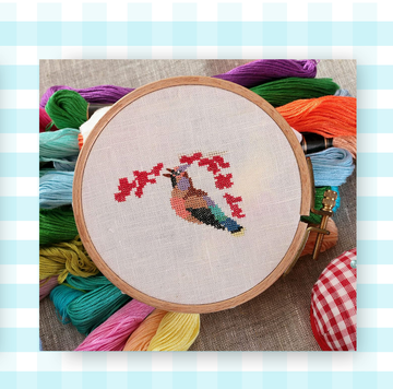 bird feeder and hand embroidery kit