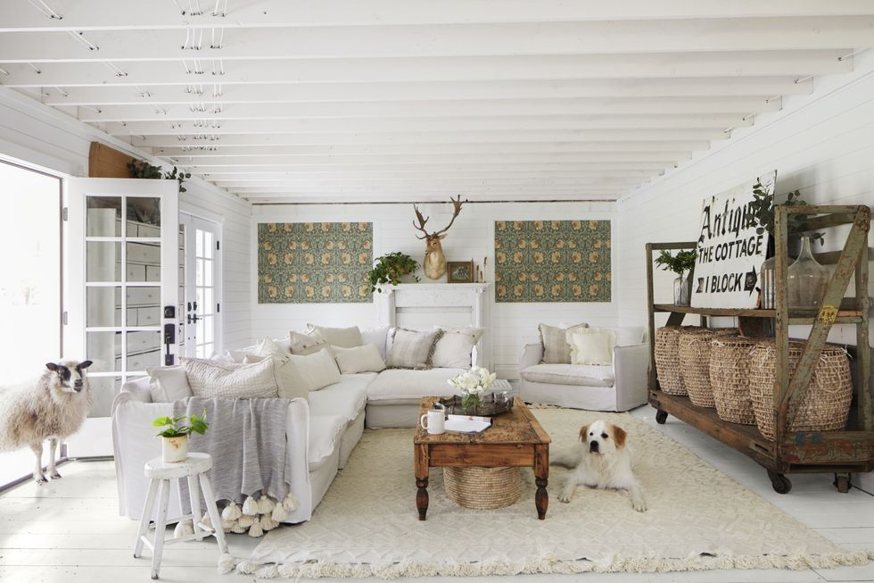 a living room that is mostly white with white painted floors and a dog and a sheep