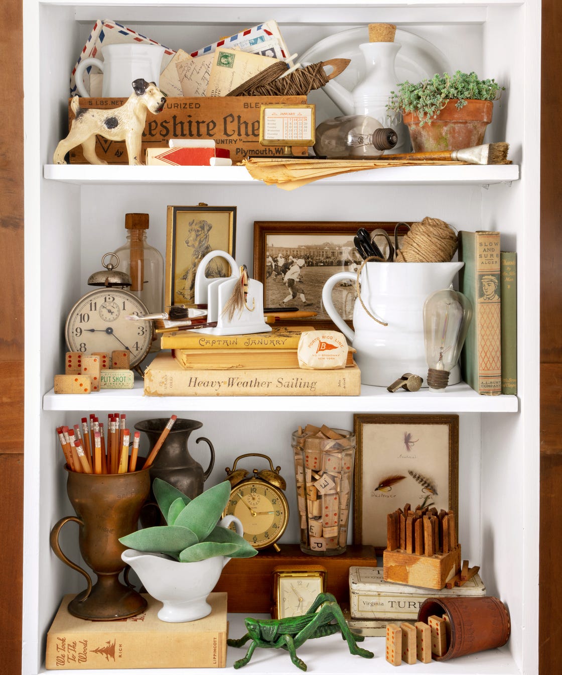 shelf, open shelves with books, trinkets, collectables, dog sculpture, grasshopper, potted plants.