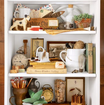 shelf, open shelves with books, trinkets, collectables, dog sculpture, grasshopper, potted plants. shelf, open shelves with books, trinkets, collectables, dog sculpture, grasshopper, potted plants.