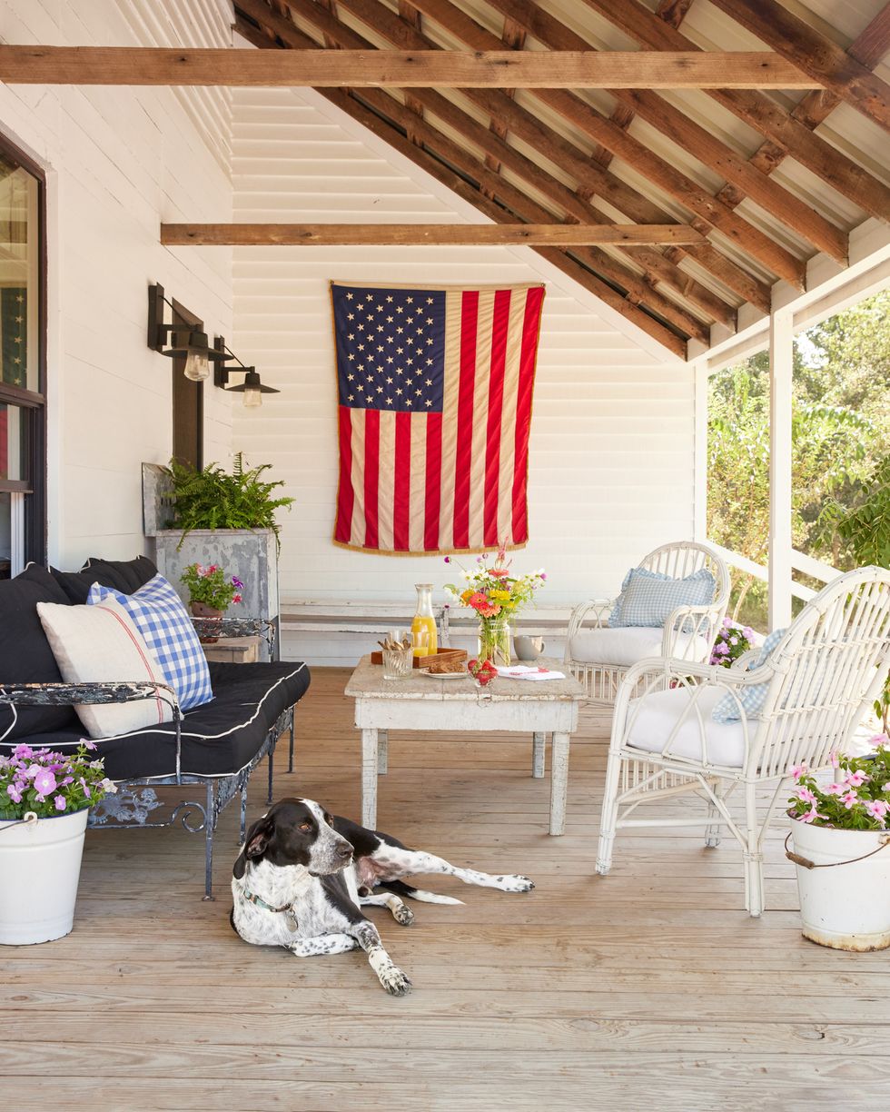 metal roof porch with a sitting area and american flag hung on the wall while a brown and white dog looks out into the yard