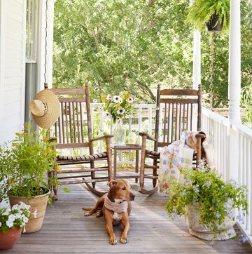 classic white covered farmhouse porch with rocking chairs, dogs, container plants