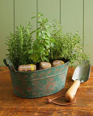 herb garden