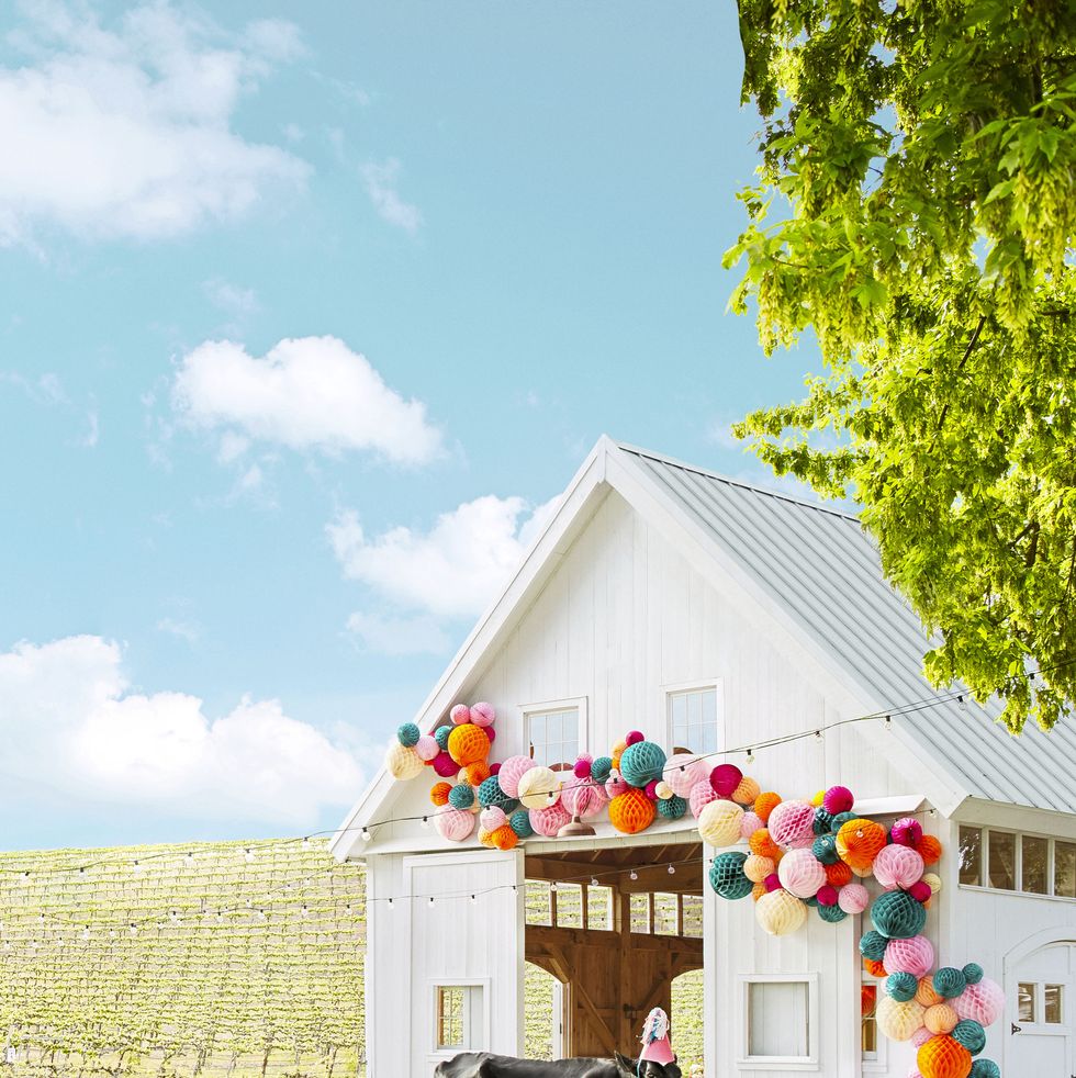 a cow in a party hat standing in front of a white barn with a colorful honeycomb garland