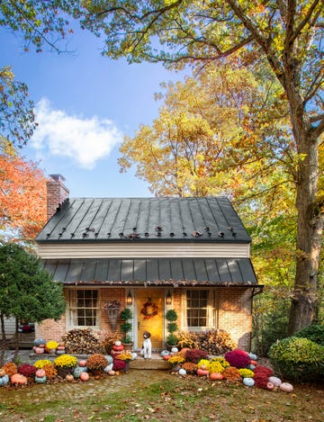 tin roofed cottage surrounded by pumpkins and multi colored mums, dark yellow front door