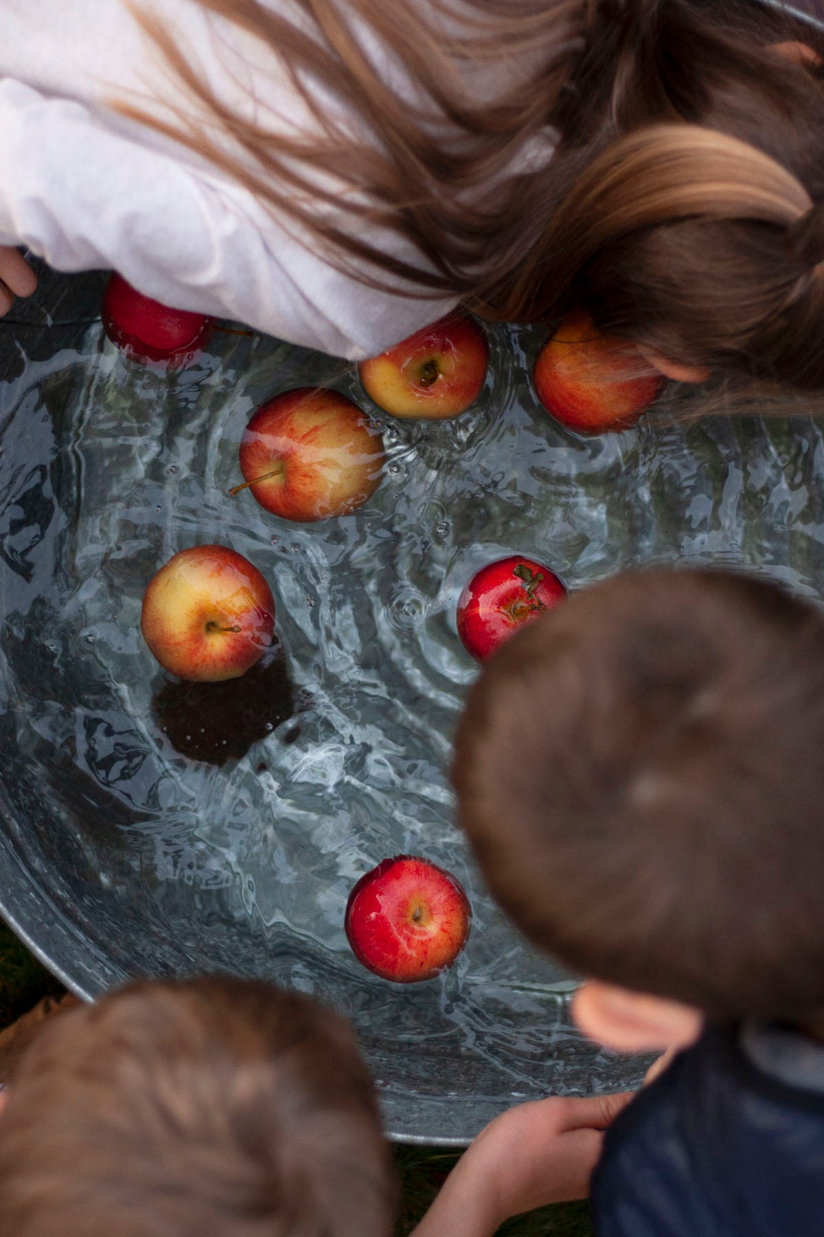 an overhead images of kids bobbing for apples that are floating in a water in a galvanized bucket