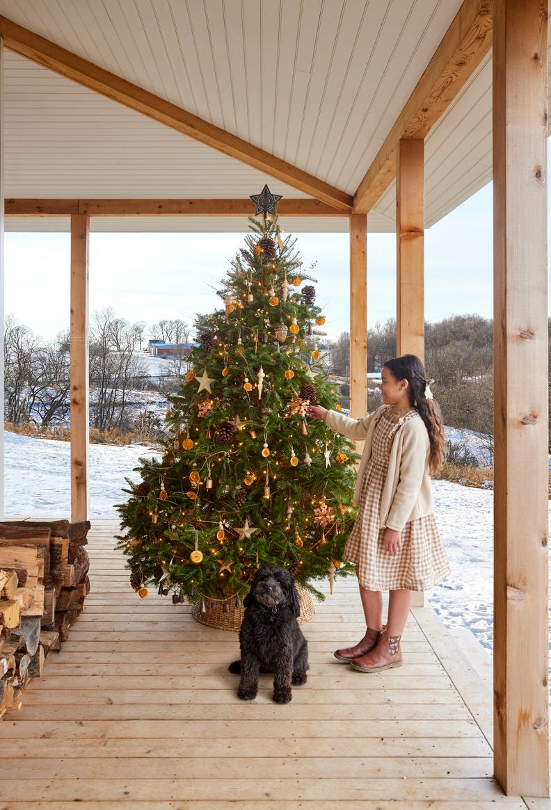 decorated tree with copper accents and orange slices on porch with little girl and dog