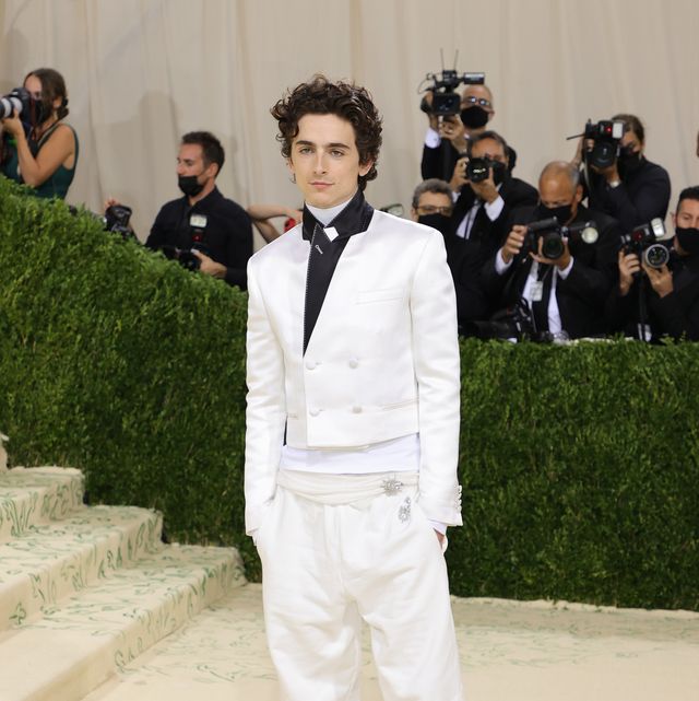 Even in 2020, Timothée Chalamet Brought Style to Everything He Did