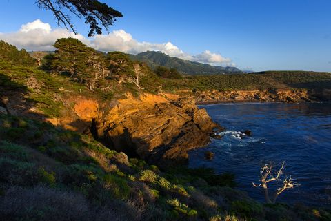 coastline and sea, point lobos state natural reserve pacific highway, california, usa