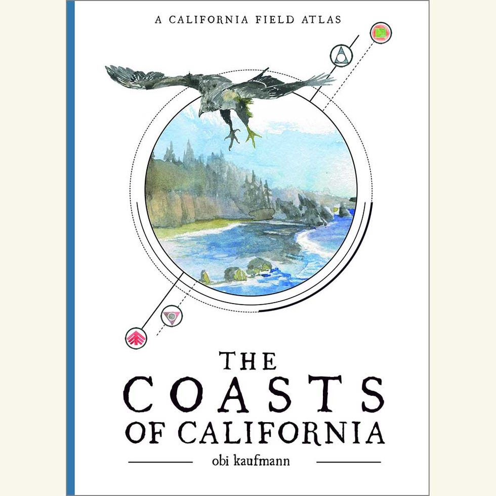 the coasts of california, obi kaufmann