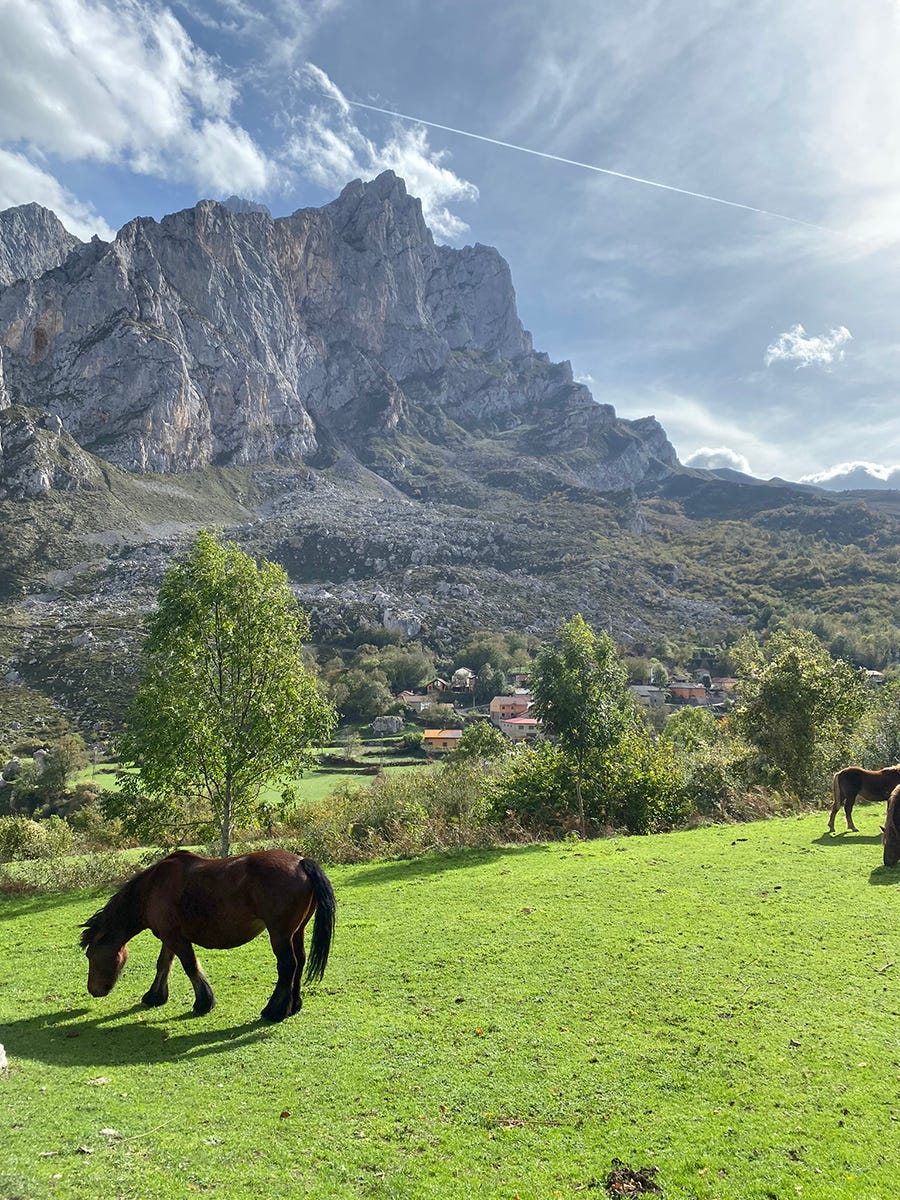 casa de pueblo reformada leon antiguo corral picos de europa
