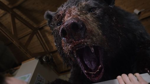 preview for Cocaine Bear - Official Trailer (Universal Pictures)