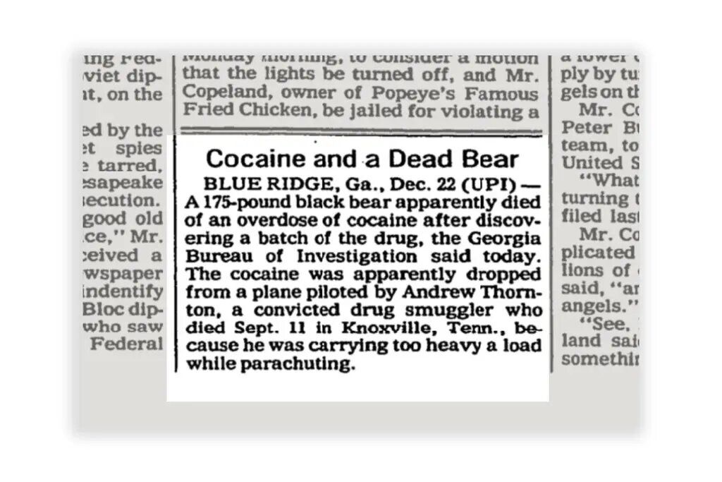 Cocaine Bear - Wikipedia, la enciclopedia libre