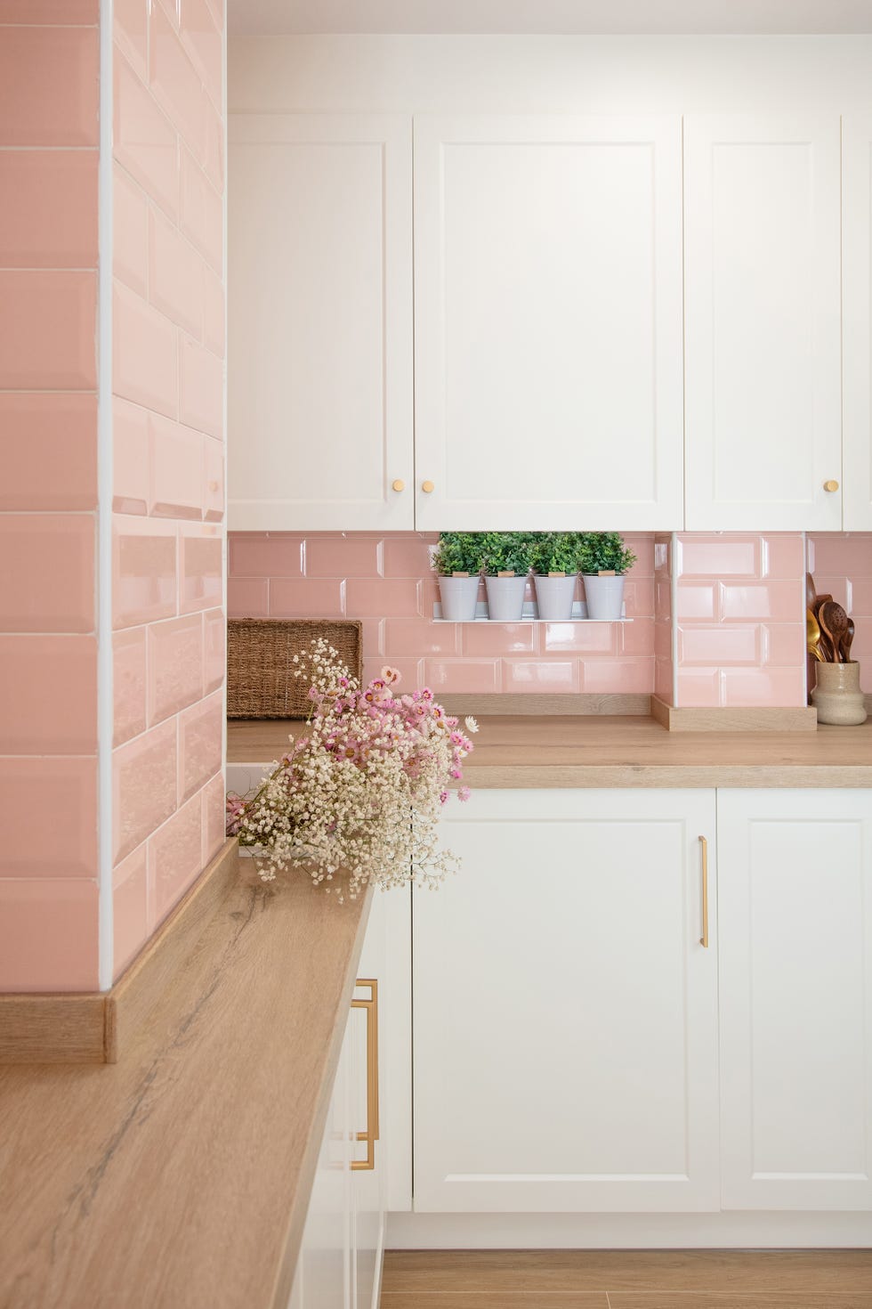 repisa con plantas en la cocina