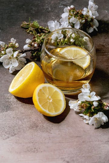 cocktail glass with sparkling cider or lemonade with sliced lemon and mint blossom branches above gray texture background