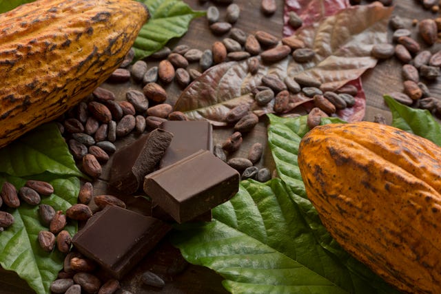 cocoa composition