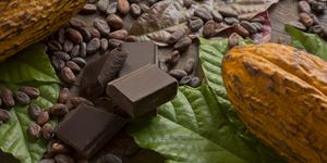cocoa composition