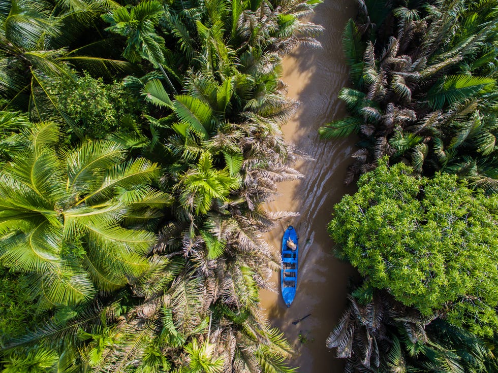 Mekong